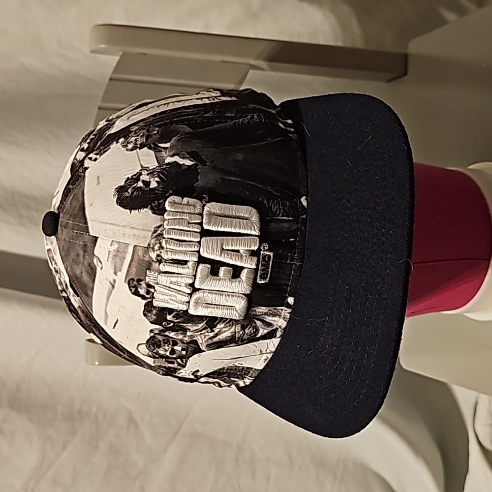 Walking Dead Snapback Cap